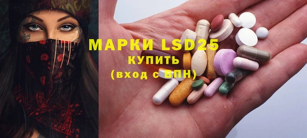индика Абаза