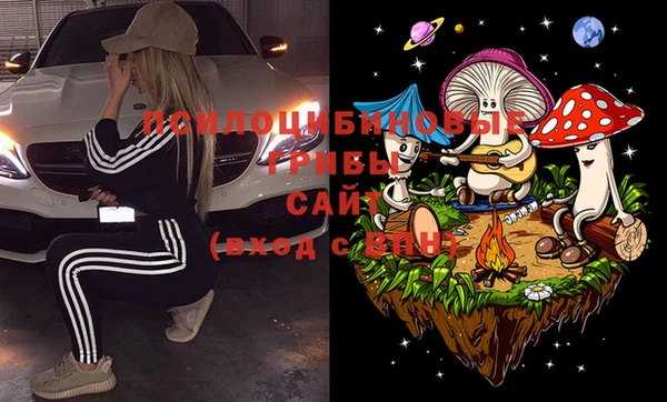 бошки Абинск