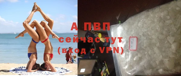 индика Абаза