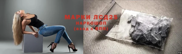 индика Абаза