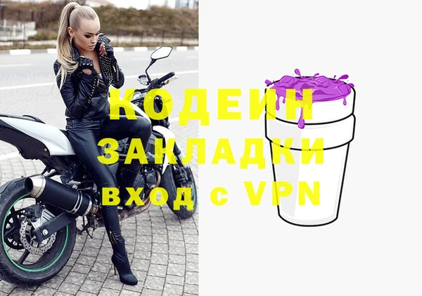 индика Абаза