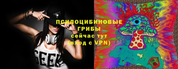 индика Абаза