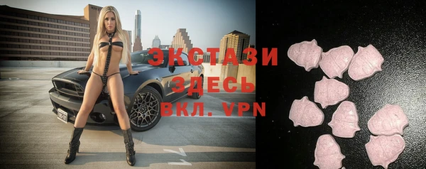индика Абаза
