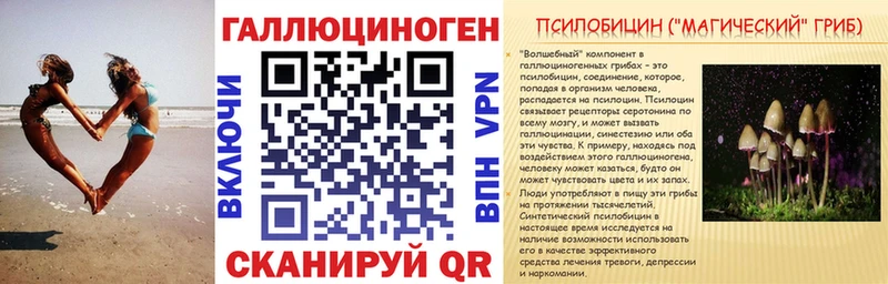 как найти Болотное Псилоцибиновые грибы мицелий